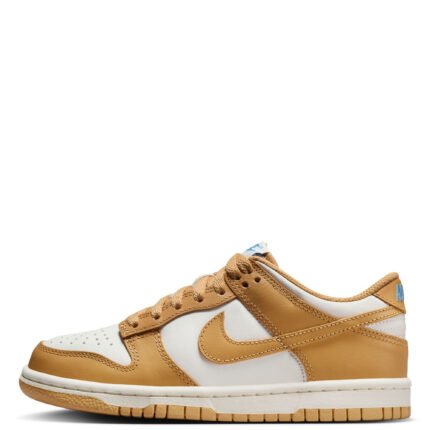 GRADE-SCHOOL DUNK LOW FB9109 700
