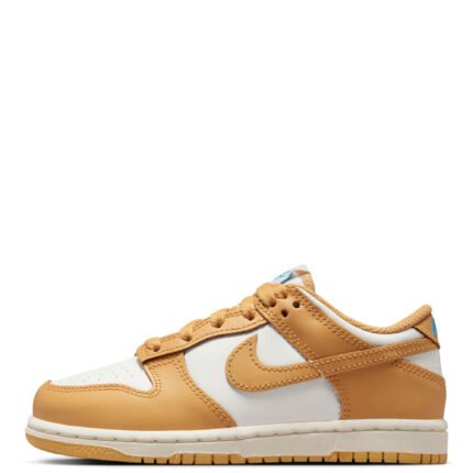PRE-SCHOOL NIKE DUNK LOW FB9108 700